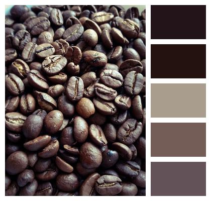 Coffee Beans Coffee Beans Image